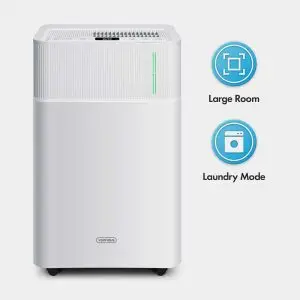 20L Portable Dehumidifier with Laundry Mode
